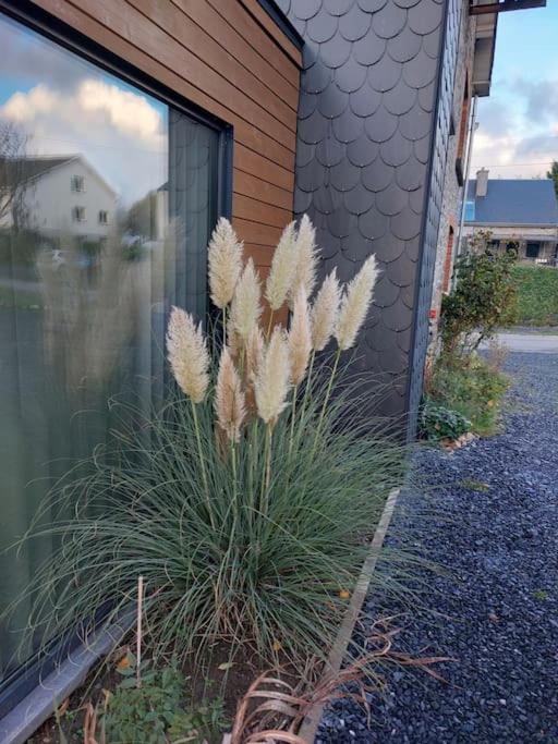 Le Reposoir Maison Spacieuse Avec Feu Au Bois Bertogne 外观 照片